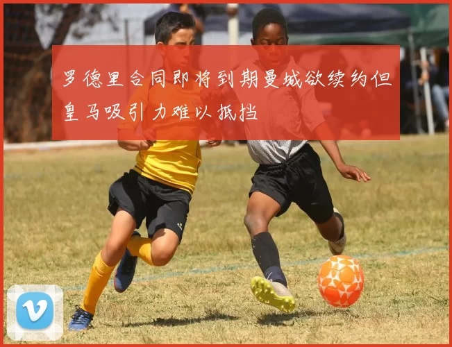 罗德里合同即将到期曼城欲续约但皇马吸引力难以抵挡