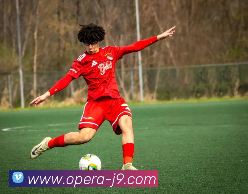 九游体育APP 封面图